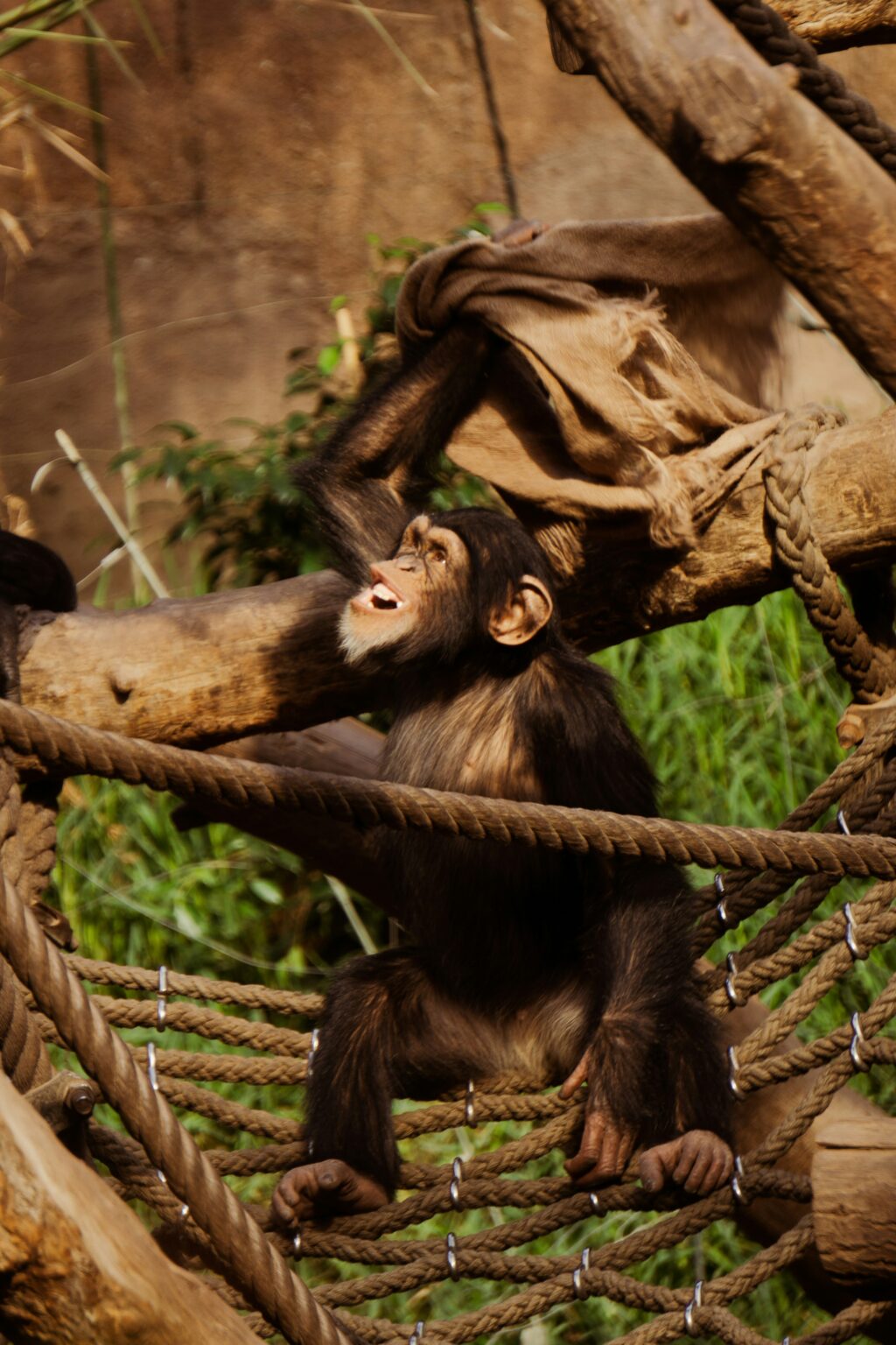 tierpfleger zoo leipzig gestorben